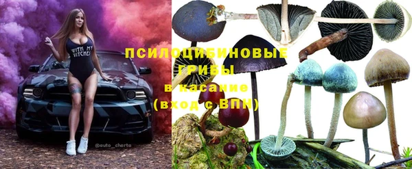 молекула духа Няндома