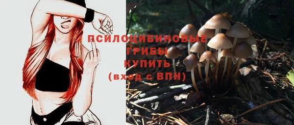 прущая мука Осинники