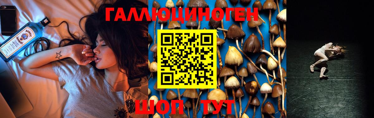 Тейково  Галлюциногенные грибы Psilocybe  Вход с VPN  Галлюциногенные грибы MAGIC MUSHROOMS 